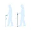 2 in 1 Hybrid Hiking Walking Pole Stick